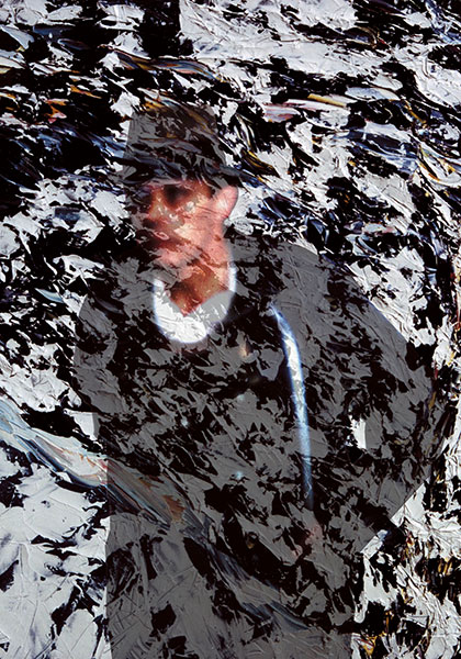 Image / artwork: Wolf Bottinelli